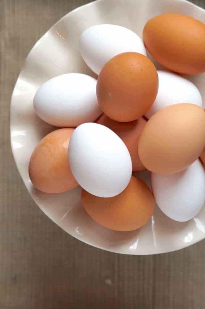 eggs