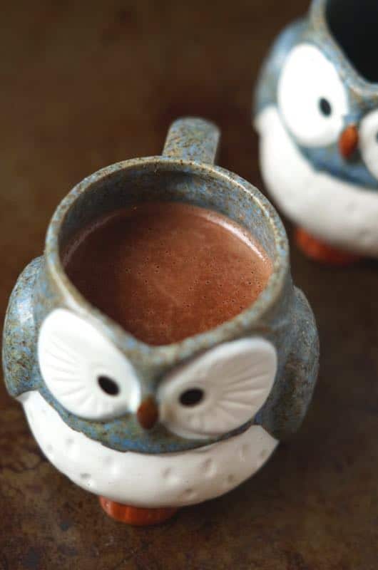 healthy hot chocolate