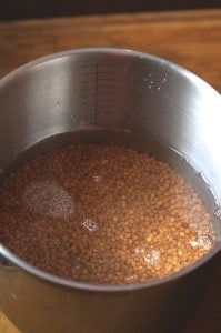 cooking pulses 2