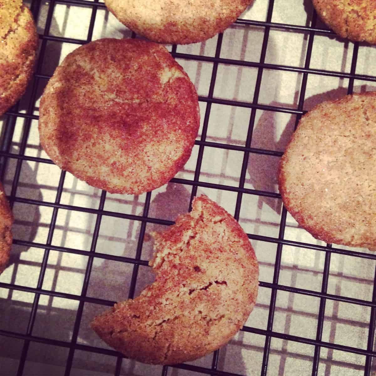 gluten free snickerdoodle