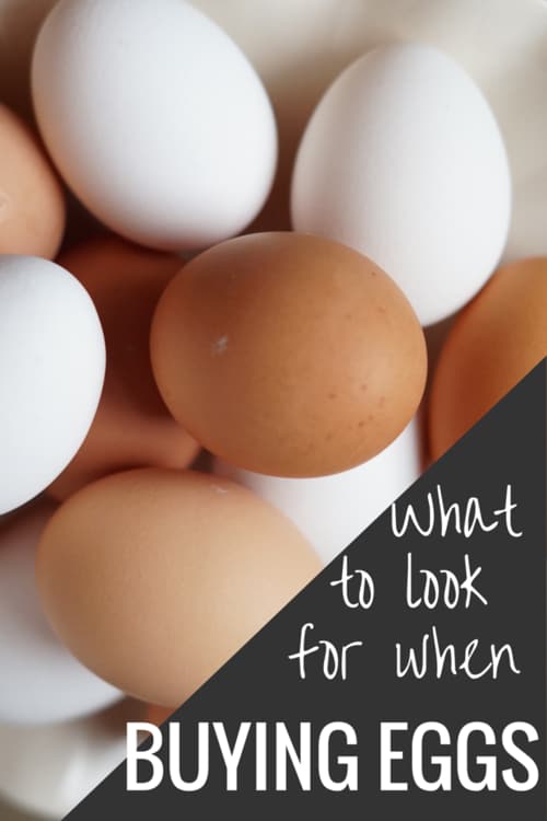 what to look for when buying eggs