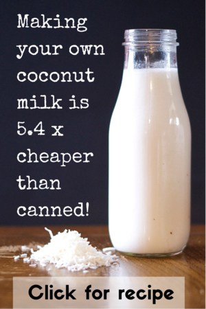 Save money by making your own coconut milk