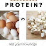 Which food has more protein?