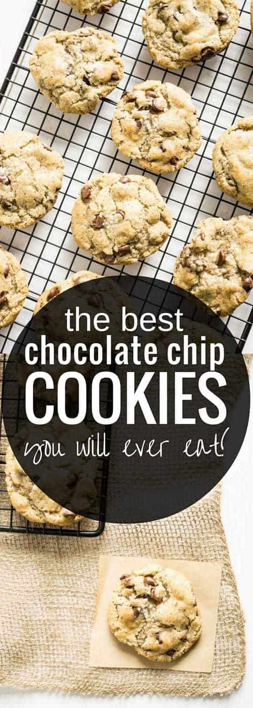 The Best Chocolate Chip Cookies you will ever eat!