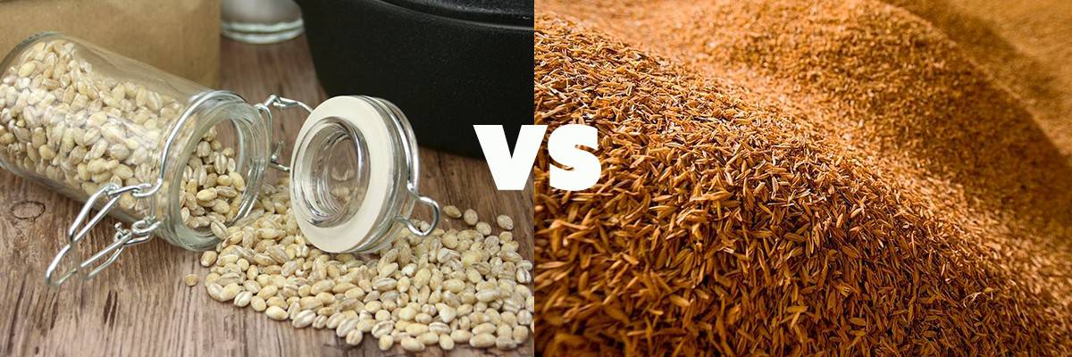 barley vs brown rice