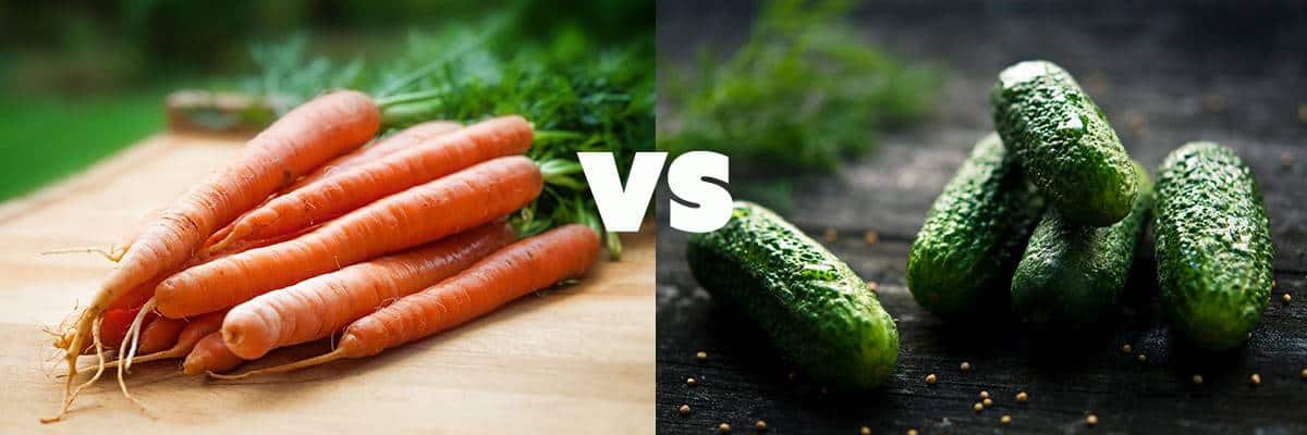 carrot vs cucumber