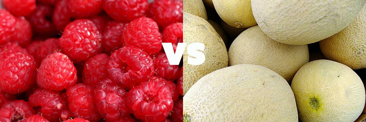 raspberries vs cantaloupe